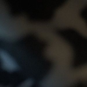 Meet your Posher, Aliyah